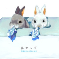 聿蝶里